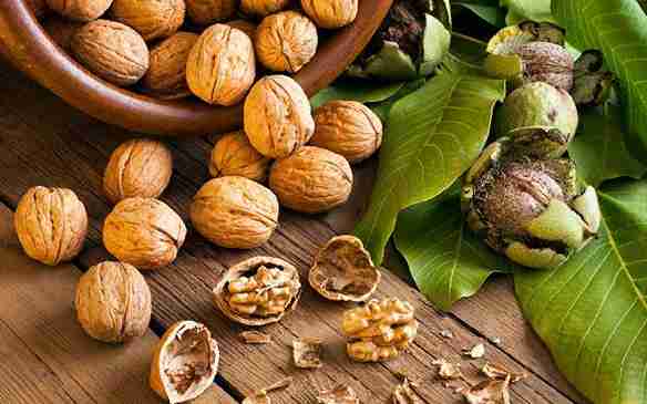 تصویر 1 از خرید و قیمت گردو تازه با پوست سبز با کیفیت ممتاز + قیمت عالی